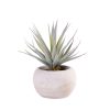 CASA Cement Succulente Finto In Vaso Grigio Clearance