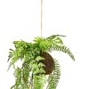 CASA Greenery Vaso Sospeso Con Felce Verde Clearance