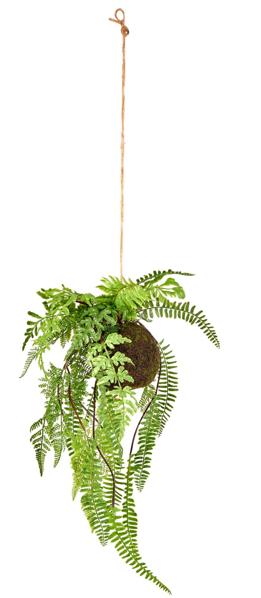 CASA Greenery Vaso Sospeso Con Felce Verde Clearance