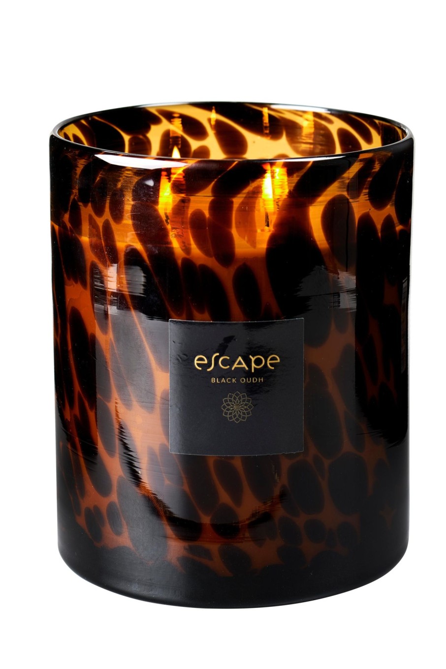 CASA Escape Black Oudh Candela Profumata In Vaso Nero, Marrone, Ocra Wholesale