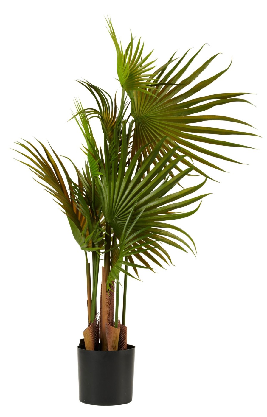 CASA Areca Palma Verde Clearance