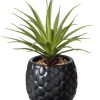 CASA Pina Pianta D'Ananas In Vaso Nero Clearance