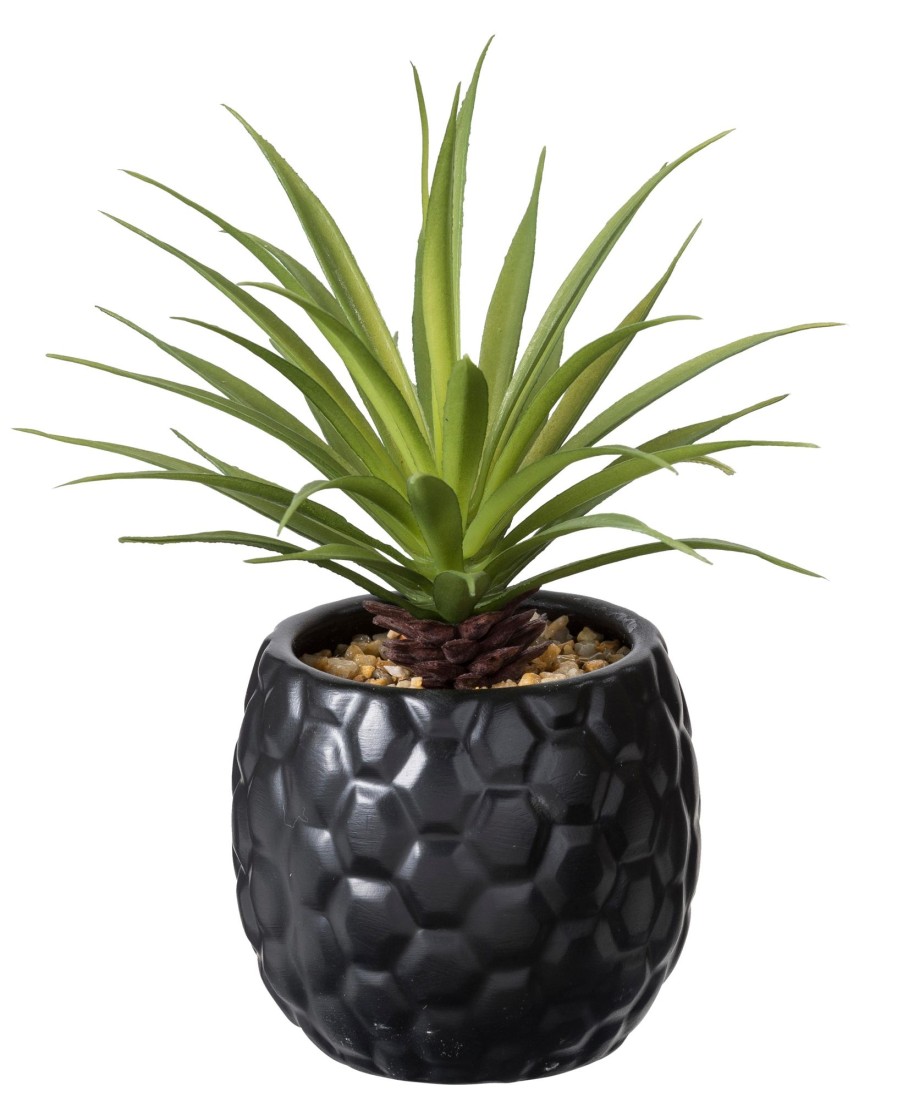 CASA Pina Pianta D'Ananas In Vaso Nero Clearance