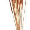 CASA Typha Canna Palustre Set Di 15 Naturale New