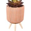 CASA Stripe Succulente Finto In Vaso Multicolore New