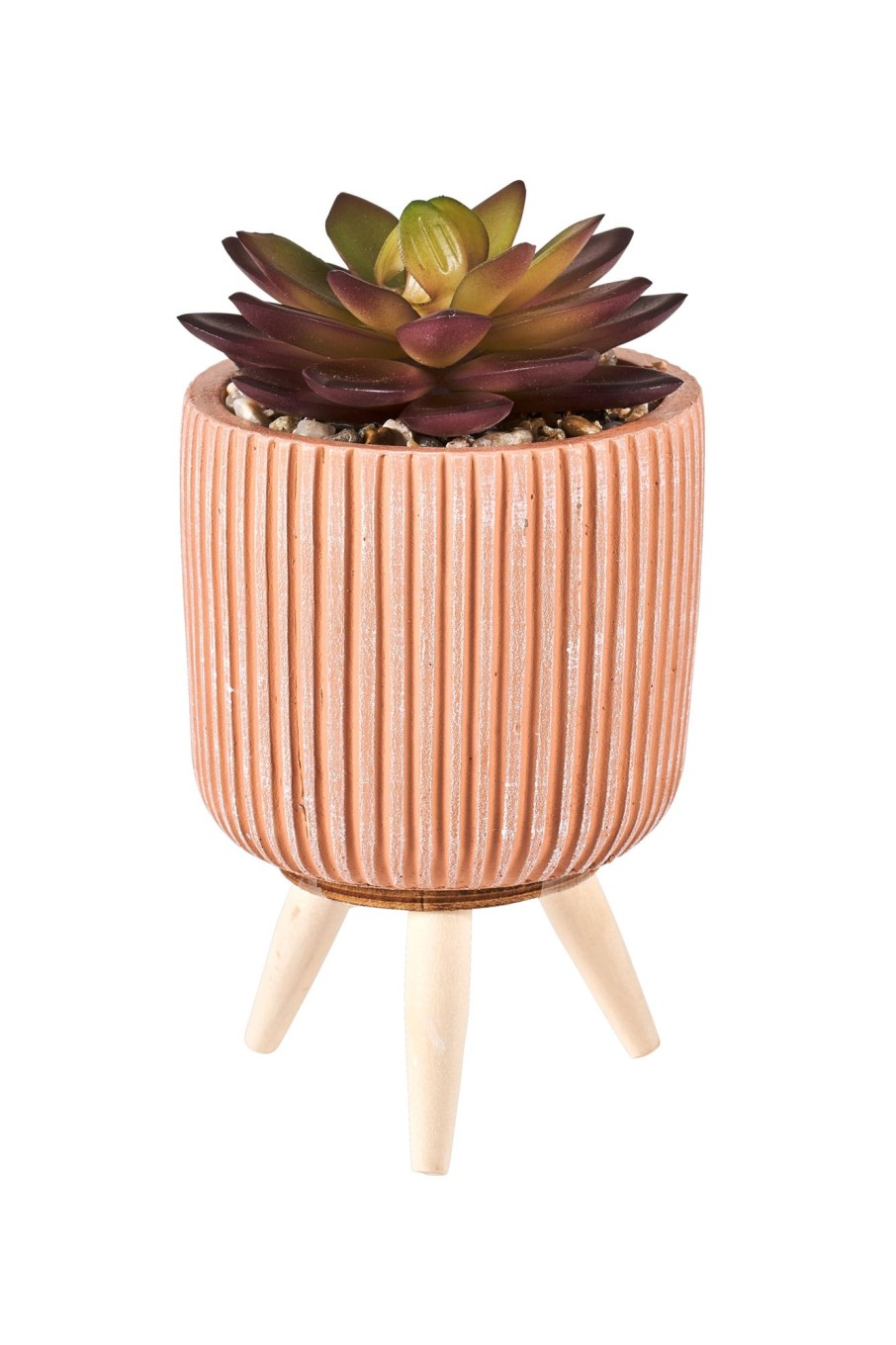 CASA Stripe Succulente Finto In Vaso Multicolore New